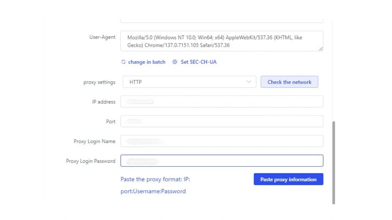 Entering Proxy Details.webp