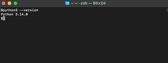 Check Python version.webp