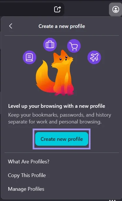 Firefox proxy connection settings