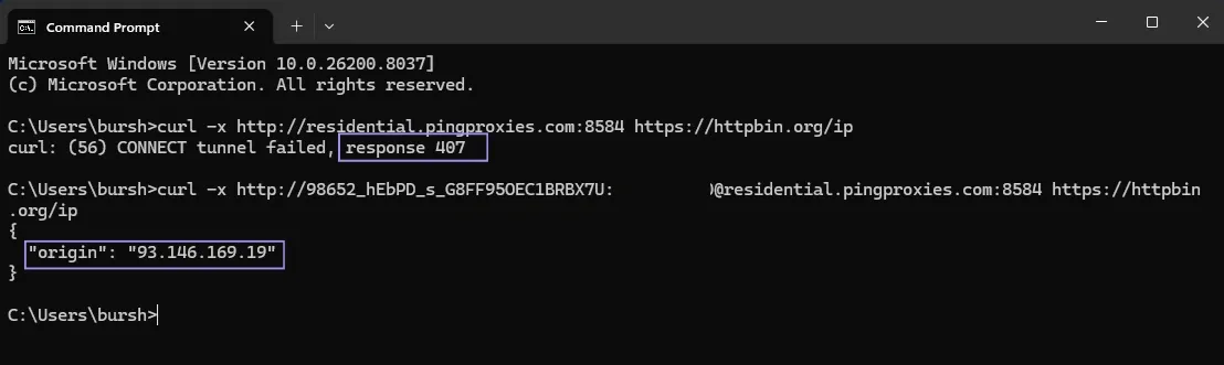 Test Proxy Authentication With cURL.webp