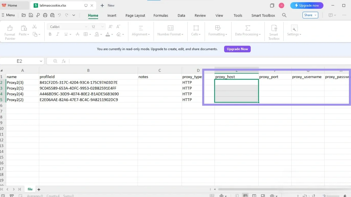 Lalicat Proxy Excel Template.webp