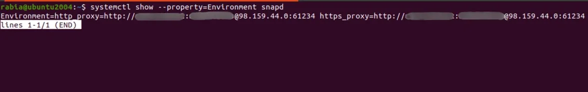 environment property for snapd service in Ubuntu Terminal.webp