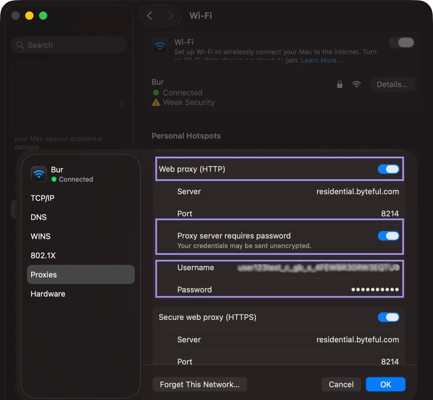 Configuring HTTP And HTTPS Proxies. on macOS.webp