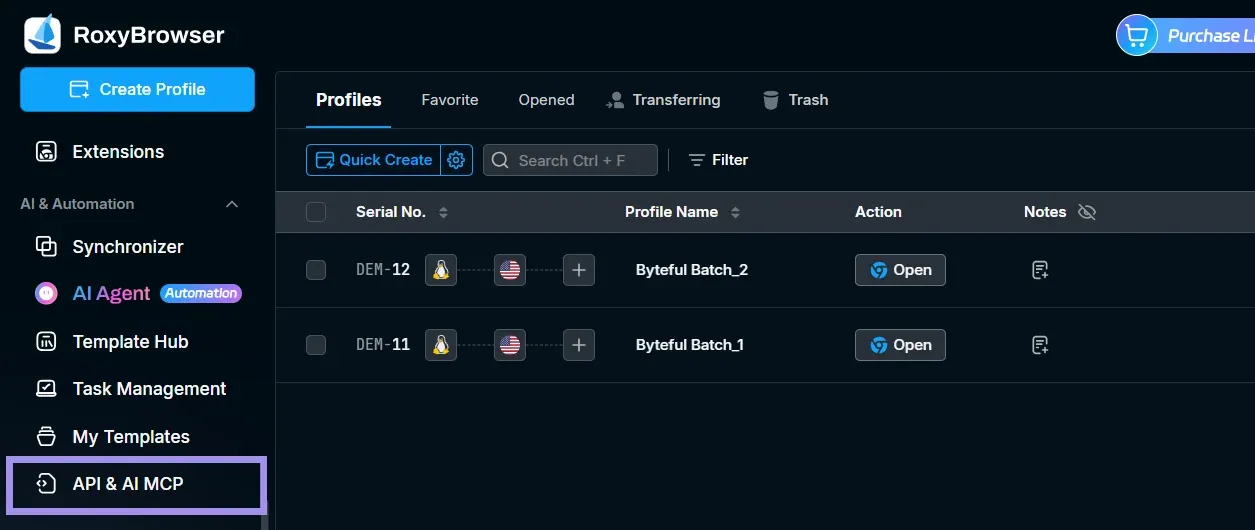 RoxyBrowser interface