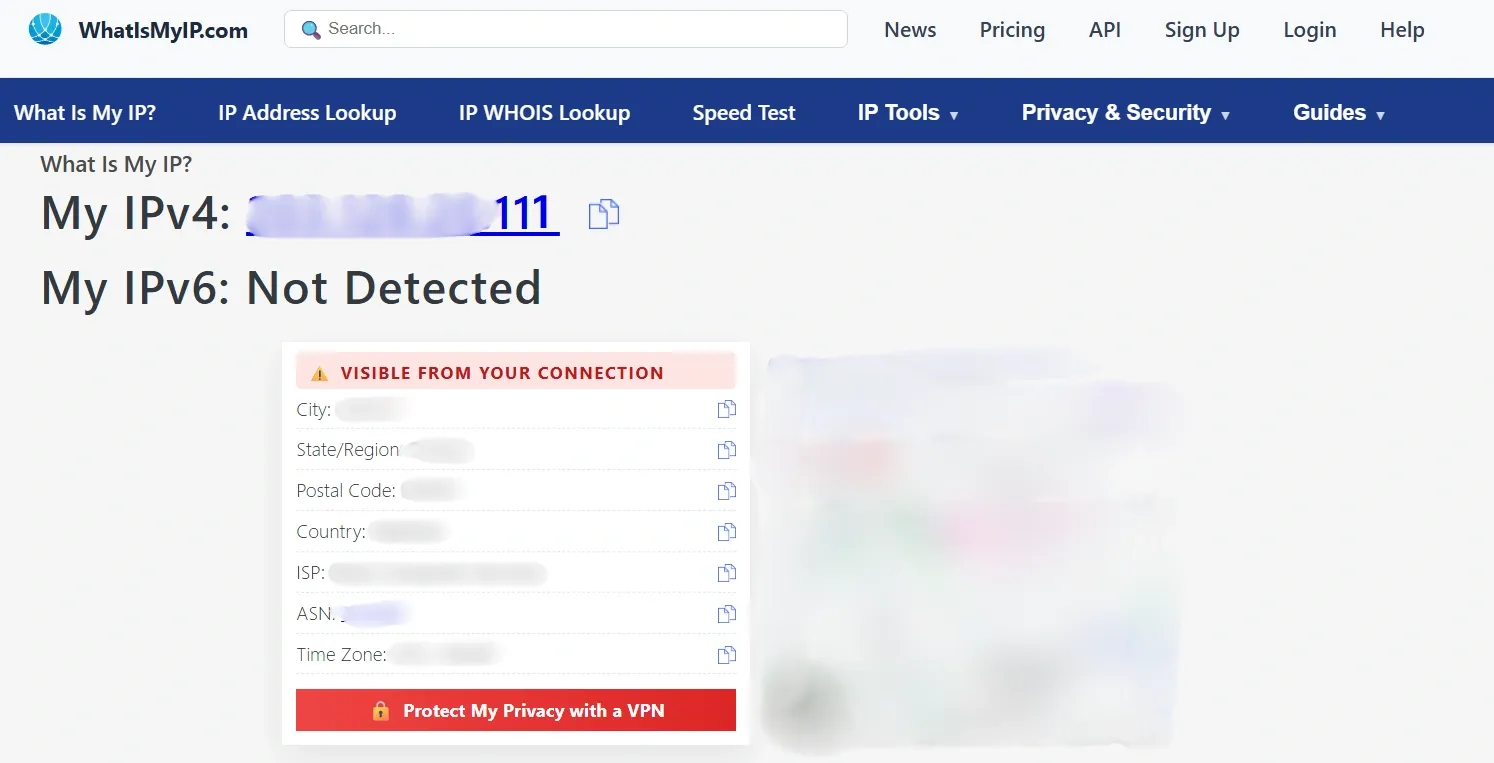 whatismyip before configuring the proxy.webp