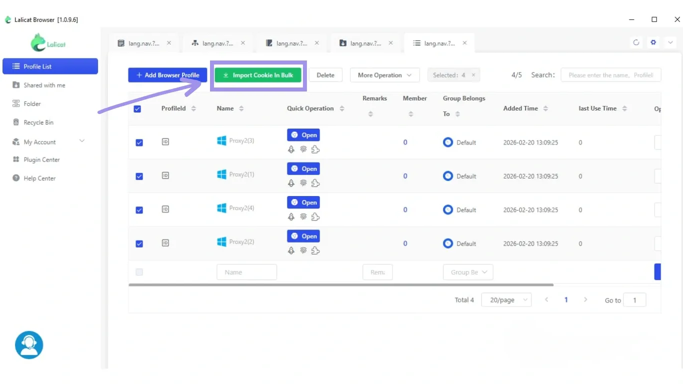 Importing Proxies in Bulk.webp