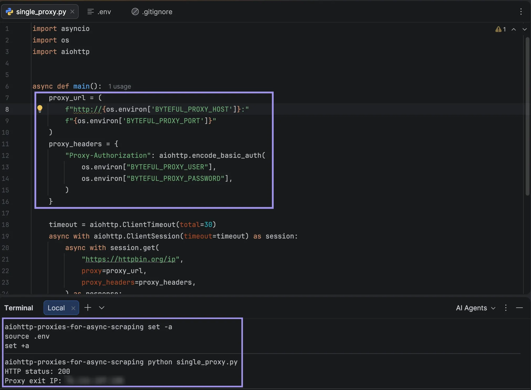 PyCharm showing proxy configuration, HTTP 200 status, and exit IP