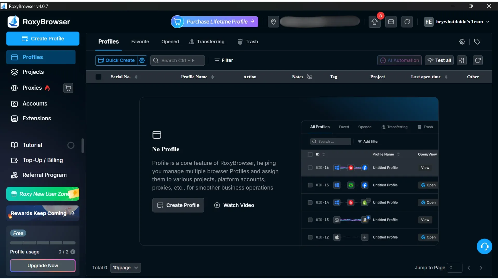 RoxyBrowser interface