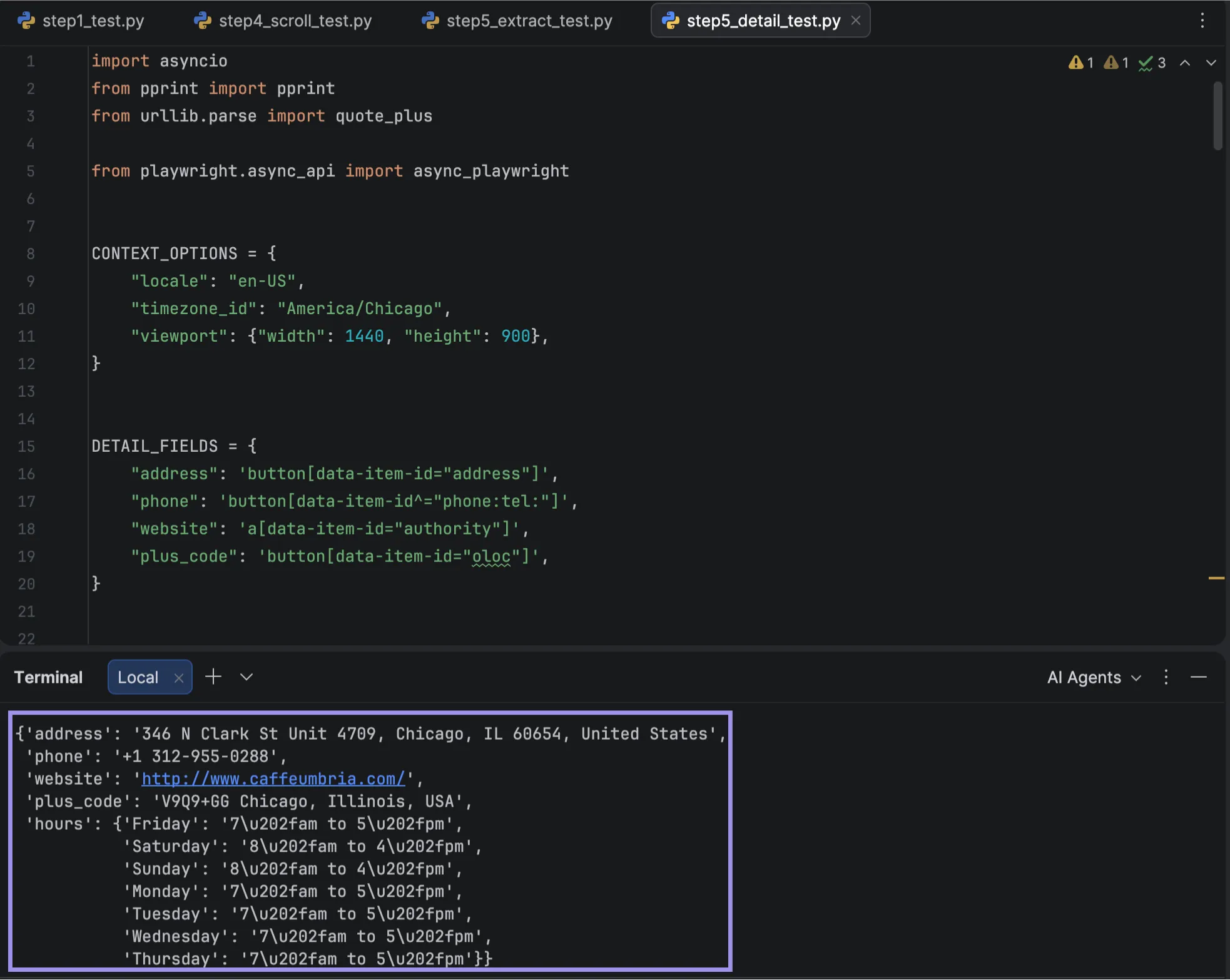PyCharm showing extracted Google Maps address, phone, website, plus code, and seven-day business hours