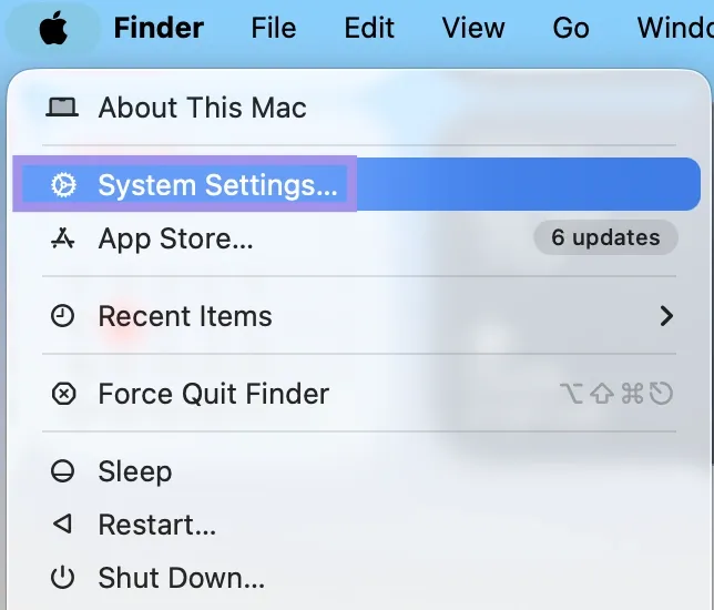 System Settings option in Mac options.webp