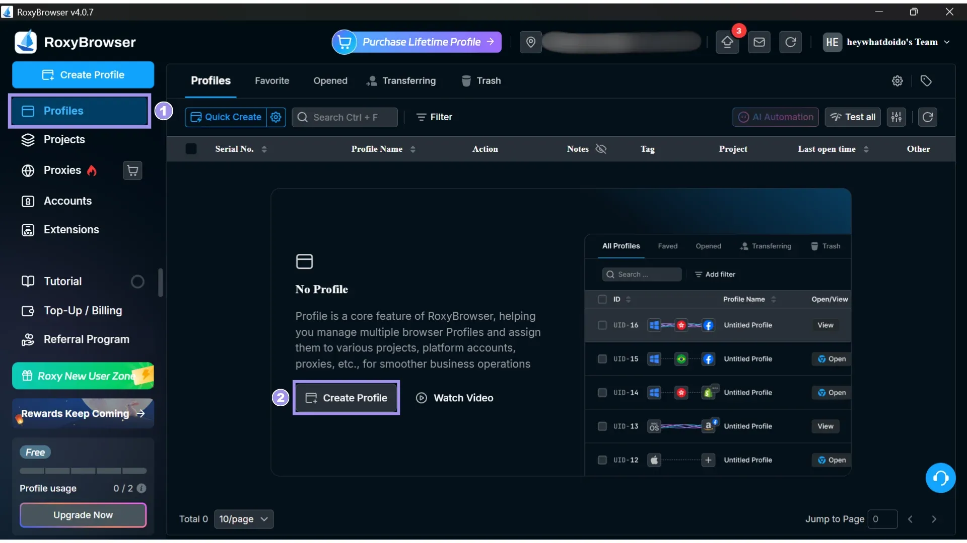 RoxyBrowser interface