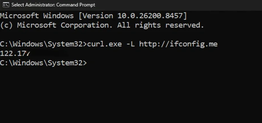 CURL ifconfig test.webp
