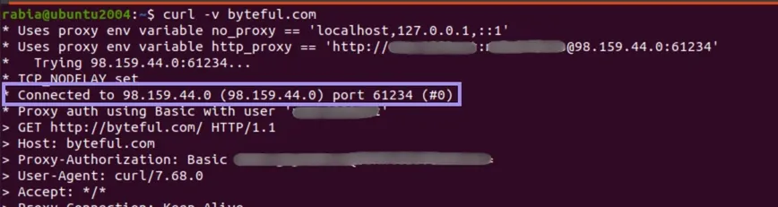 curl results in terminal verifies connection with the proxy..webp