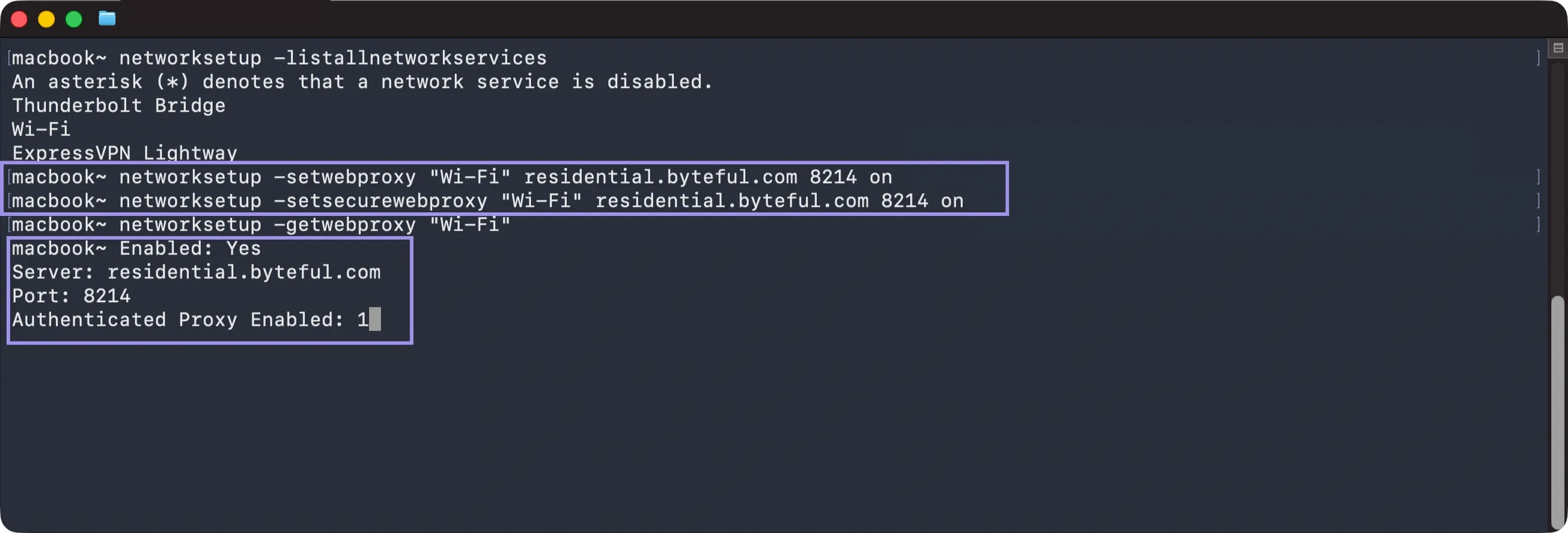 Persistent Proxy Configuration.webp