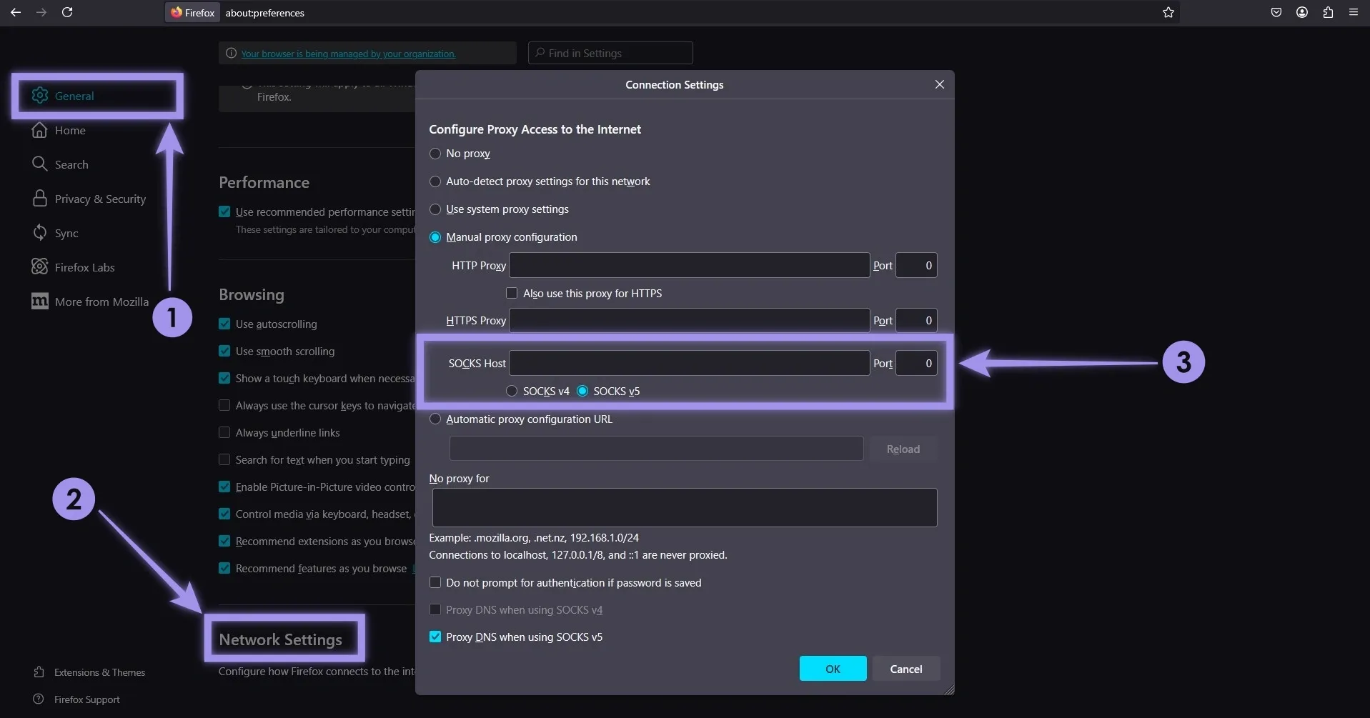 Setup Socks Proxy on Firefox.webp