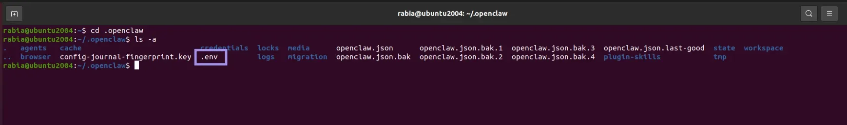 OpenClaw files