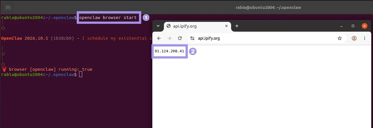 OpenClaw CLI session