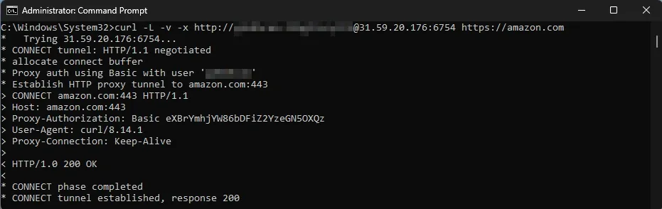 Testing proxy on Windows CMD.webp