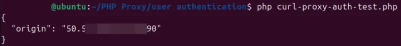 PHP Proxy Authentication.webp