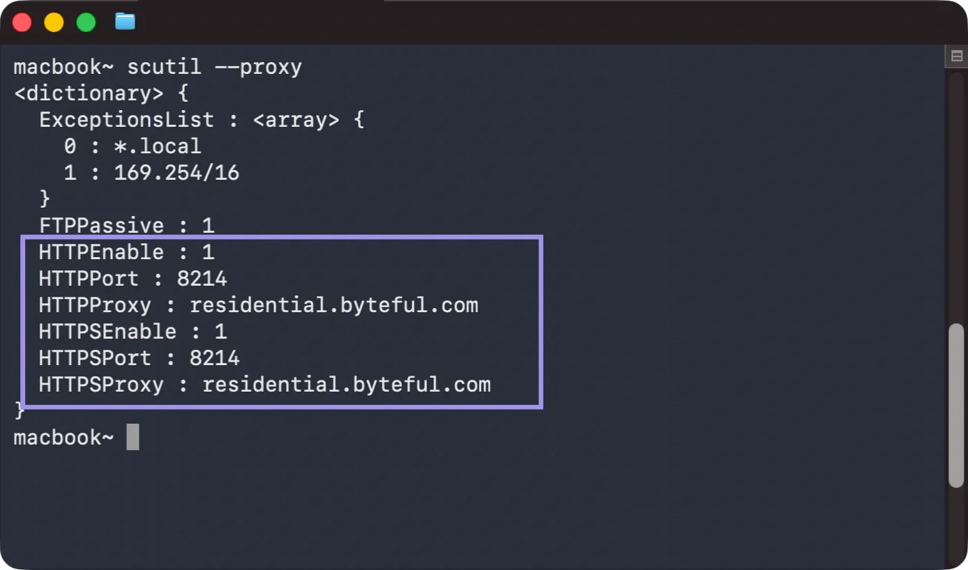 macOS Proxy Verification in Terminal.webp