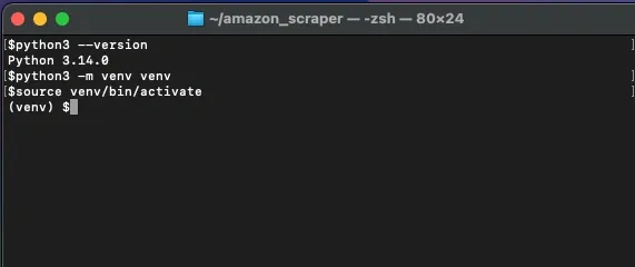 Python virtual environment activation.webp