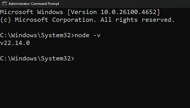 Verify Node installation.webp