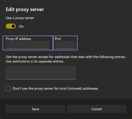 Windows Proxy Settings.webp