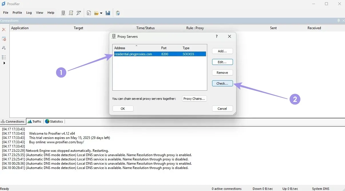Check Proxy Status.webp