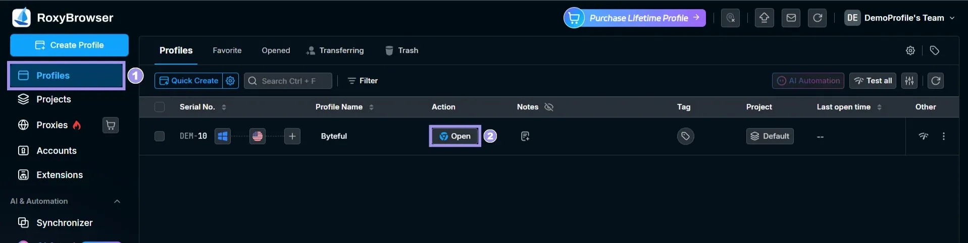 RoxyBrowser profiles tab