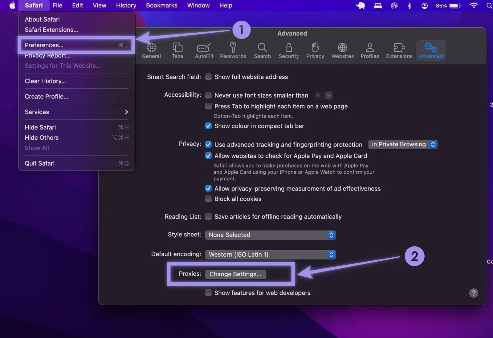Setup proxies on Safari.webp