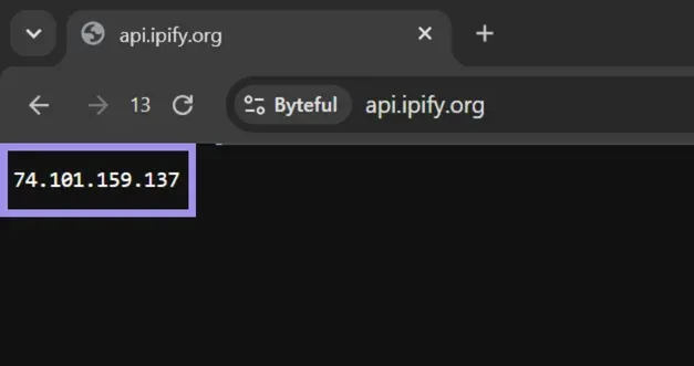 Verify roxybrowser proxy configuration via api.ipify.org