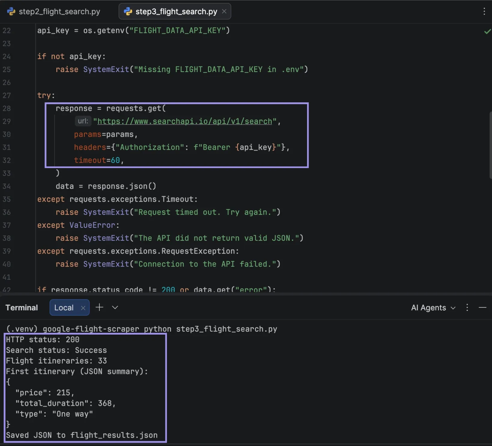 PyCharm terminal showing a successful API request and JSON response