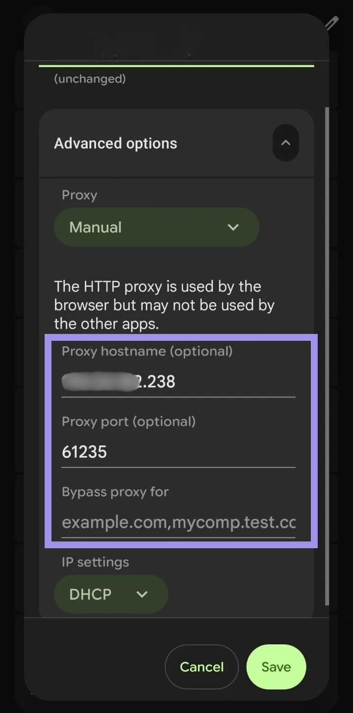 Input proxy information.webp