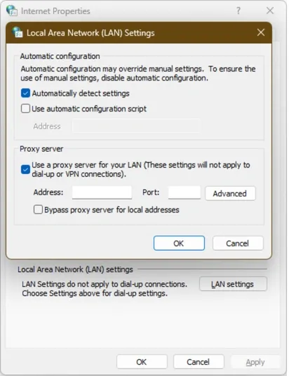 Local Area Network (LAN) Settings.webp