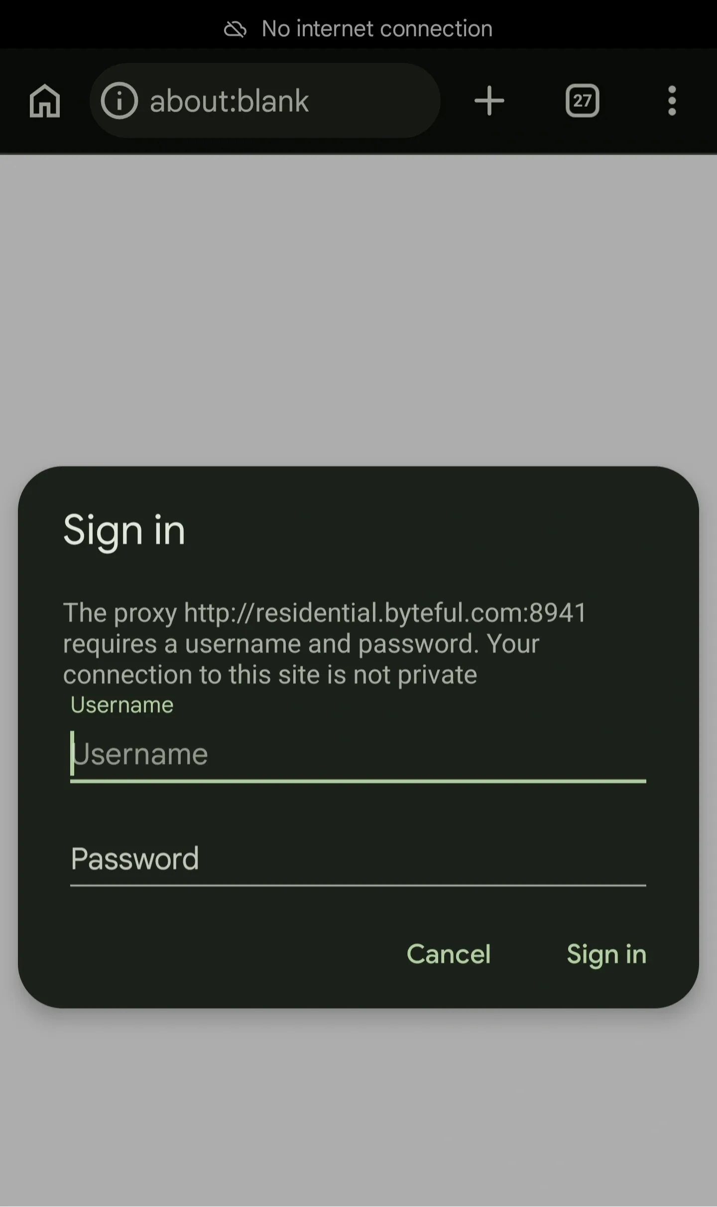 Proxy authentication.webp